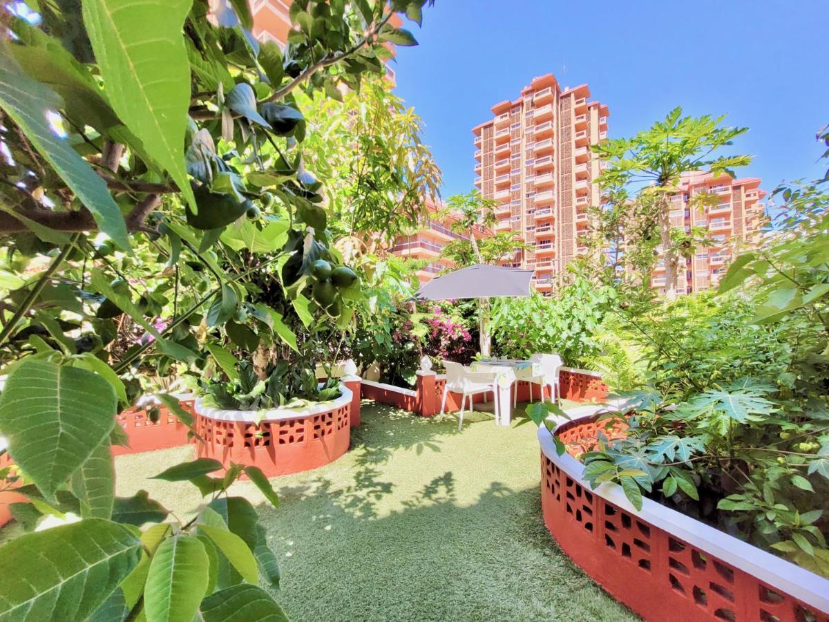 Magnolia House Διαμέρισμα Πουέρτο Ντε Λα Κρουζ Εξωτερικό φωτογραφία